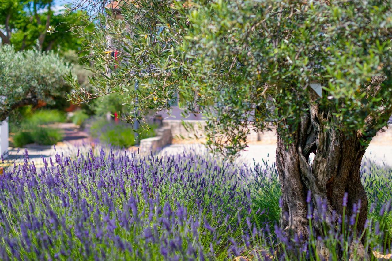 Terre de Provence Hôtel&Spa Le Pontet  Exterior foto